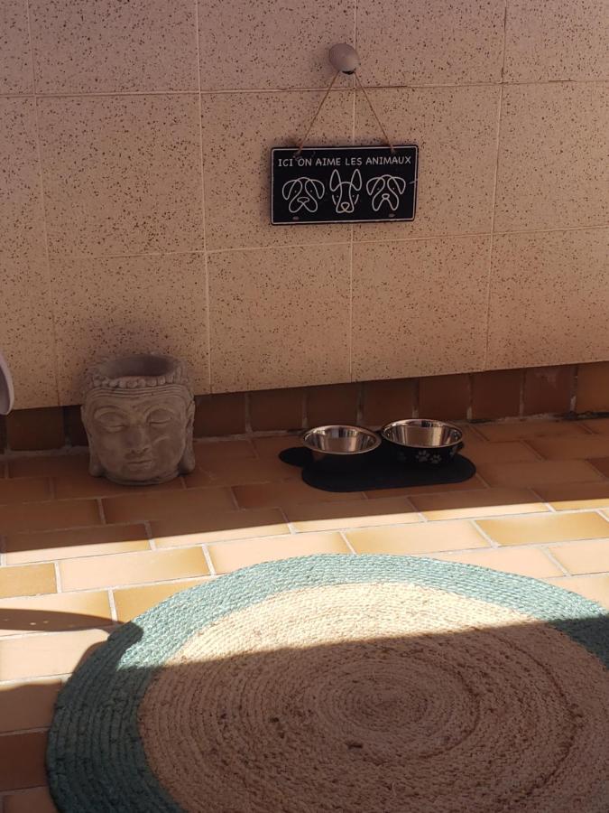 Studio 200M De La Plage Le Barcarès エクステリア 写真